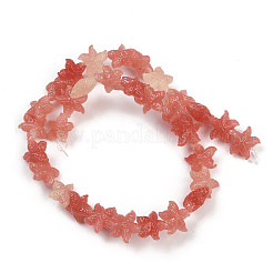 Synthetic Coral Dyed Carved Beads Strands&nbsp;SHEL-K007-18A