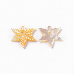 Natural Yellow Shell Charms&nbsp;SSHEL-R144-34