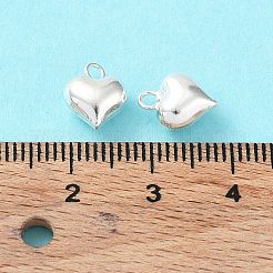 925 Sterling Silver Charms&nbsp;X-STER-H106-01A-S