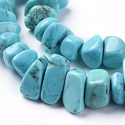 Natural Magnesite Beads Strands&nbsp;TURQ-G152-C01