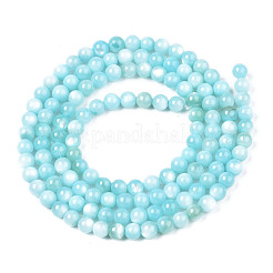 Natural Freshwater Shell Beads Strands&nbsp;BSHE-T009A-01E