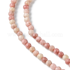 Natural Rhodonite Beads Strands&nbsp;G-F748-U01-02