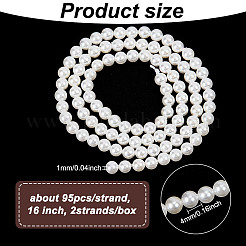 2 Strands Shell Pearl Beads Strands&nbsp;BSHE-GO0001-03