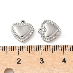 304 Stainless Steel Charms&nbsp;STAS-L022-375P