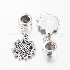 Alloy European Dangle Charms&nbsp;PALLOY-JF00001-02