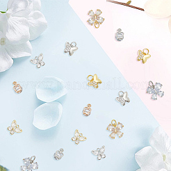 Alloy & Brass Cubic Zirconia Charms&nbsp;ZIRC-AR0001-26