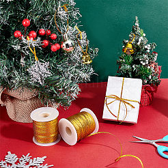 Polyester Ribbon&nbsp;OCOR-WH0082-528A