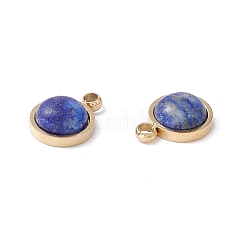 Natural Mixed Stone Charms&nbsp;STAS-H168-01G