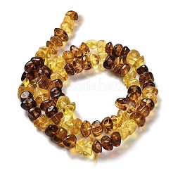 Natural Amber Beads Strands&nbsp;G-L095-L01-04