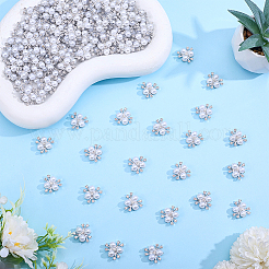 120Pcs Alloy Resin Cabochons&nbsp;ALRI-ME0001-04P