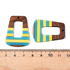 Epoxy Resin & Walnut Wood Pendants&nbsp;RESI-N039-121S