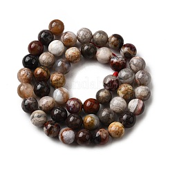 Natural Mexico Crazy Agate Beads Strands&nbsp;G-L615-A01-02