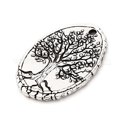 Tibetan Style Alloy Pendants&nbsp;FIND-A053-05C-AS