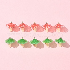 10Pcs 2 Colors Plastic Pendants&nbsp;KY-FS0001-34B