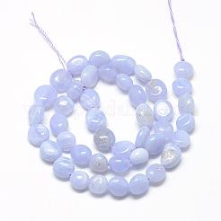 Natural Blue Lace Agate Beads Strands&nbsp;G-R445-6x8-10