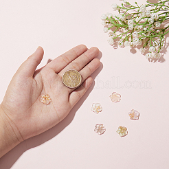 30Pcs 5 Colors Transparent Resin Cabochons&nbsp;RESI-CJ0001-186