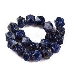 Natural Sodalite Beads Strands&nbsp;G-T138-41