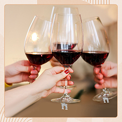 DIY Wine Glass Charms Making Kits&nbsp;DIY-ME0003-76