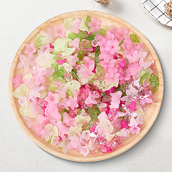 DIY Flower Leaf Findings Kits&nbsp;DIY-BM0001-12A