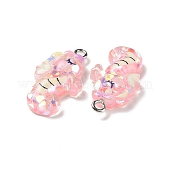 Transparent Resin Pendants&nbsp;RESI-J023-05A