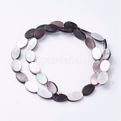 Natural Black Lip Shell Beads Strands&nbsp;SSHEL-E571-47