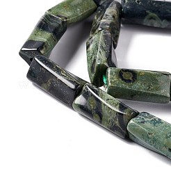 Natural Kambaba Jasper Beads Strands&nbsp;G-L240-12