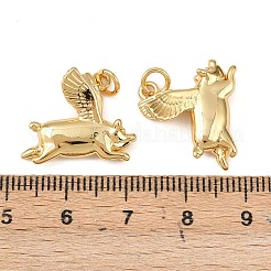 Brass Pendants&nbsp;KK-L255-20G-01