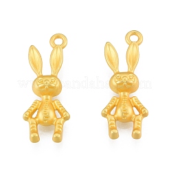 Alloy Pendants&nbsp;FIND-G035-22MG