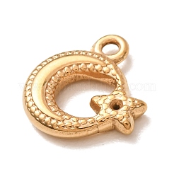 304 Stainless Steel Charms&nbsp;SA-CBAB6EC-04G