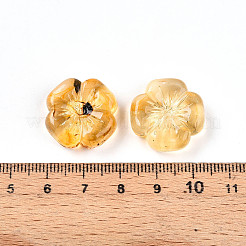 Transparent Acrylic Beads&nbsp;X1-TACR-T028-40G