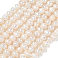 Natural Cultured Freshwater Pearl Beads Strands&nbsp;PA-CBAC463-17