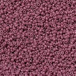 MIYUKI Round Rocailles Beads&nbsp;X-SEED-G009-RR4487