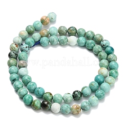 Natural Peruvian Turquoise(Jasper) Beads Strands&nbsp;G-L642-B08-6mm
