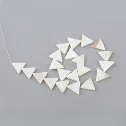 Natural Freshwater Shell Beads Strands&nbsp;X-SHEL-Q008-40