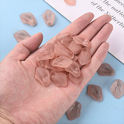 Transparent Frosted Acrylic Pendants&nbsp;MACR-S371-03A-763