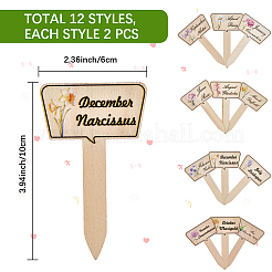 2 Bags Wooden Plant Labels&nbsp;DIY-CP0012-70