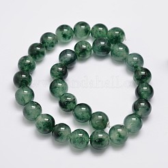 Natural & Dyed Malaysia Jade Bead Strands&nbsp;G-A146-12mm-C01