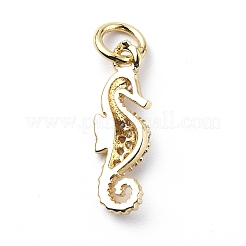 Brass Micro Pave Cubic Zirconia Charms&nbsp;ZIRC-F131-06G