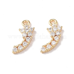 Brass Micro Pave Cubic Zirconia Pendants&nbsp;KK-I702-55G