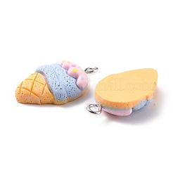 Resin Pendants&nbsp;RESI-C002-06