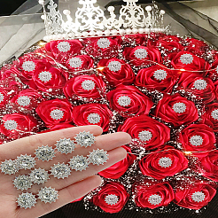 10Pcs Alloy Crystal Rhinestone Head Pins&nbsp;FIND-LP0009-12
