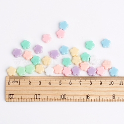 Opaque Acrylic Beads&nbsp;SACR-R796-M