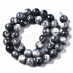 Natural Labradorite Beads Strands&nbsp;G-N328-49D-01