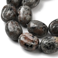 Natural Fluorescent Syenite Rock(Glow under UV Light)  Beads Strands&nbsp;G-K362-D02-03