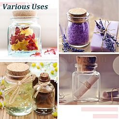 Glass Bottle&nbsp;CON-CP0001-006A