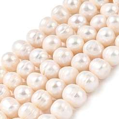 Natural Cultured Freshwater Pearl Beads Strands&nbsp;PEAR-I007-07U-02