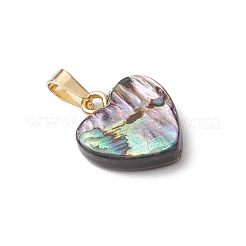 Natural Paua Shell Pendants&nbsp;PALLOY-JF05127