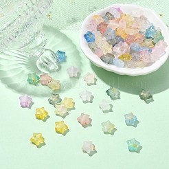 200Pcs Frosted Acrylic Beads&nbsp;FACR-CJ0001-19