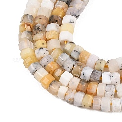 Natural Dendritic African Opal Beads Strands&nbsp;G-G345-C21-2x4mm