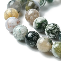 Natural Tree Agate Round Gemstone Beads Strands&nbsp;G-R255-8mm